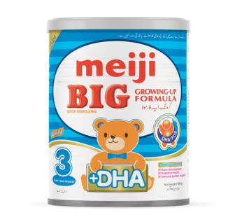 MEIJI BIGG #3 900GM